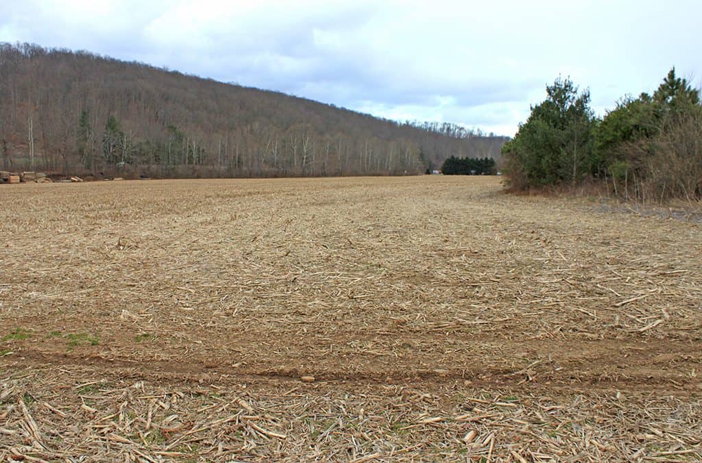 25.3 Acres Wyckoff Road