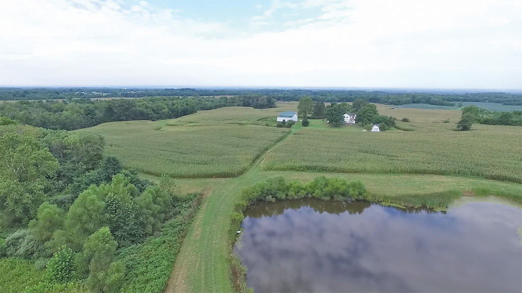 330 Acre Stout Farm