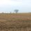 696 Acres Union & Logan County Auction