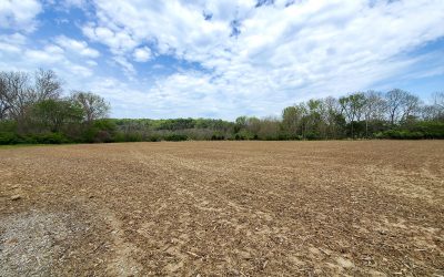 50 Acres Olive Branch Stonelick Road, Clermont County