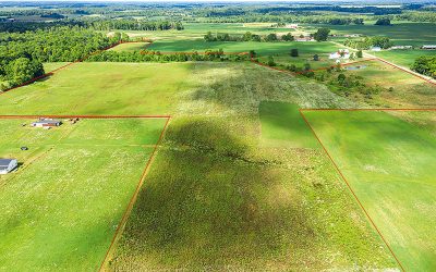 ONLINE AUCTION: 51 ACRES VACANT LAND – MORROW COUNTY