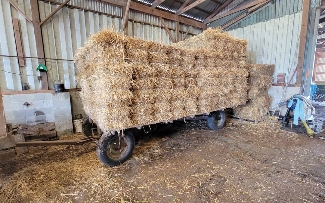 14′ FLAT RACK HAY WAGON