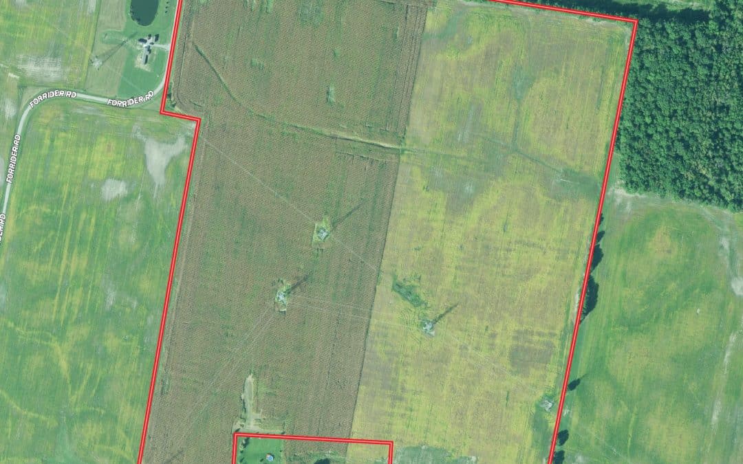 AUCTION: THURSDAY, OCTOBER 6 – 105.724 ACRES VACANT LAND, UNION COUNTY