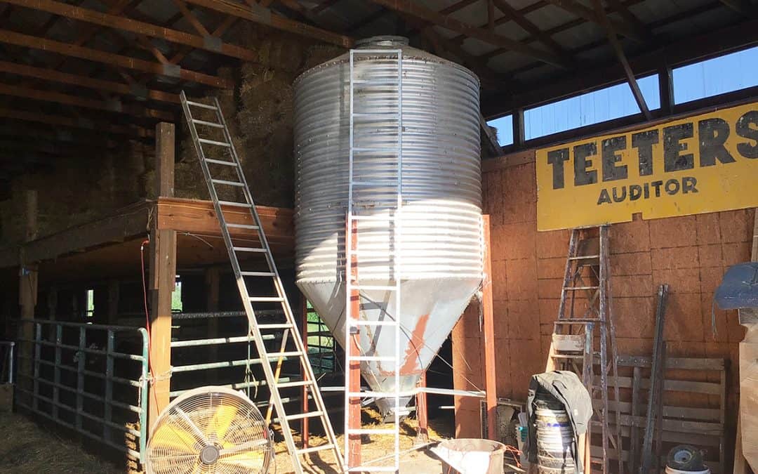 7 Ton Feed Bin