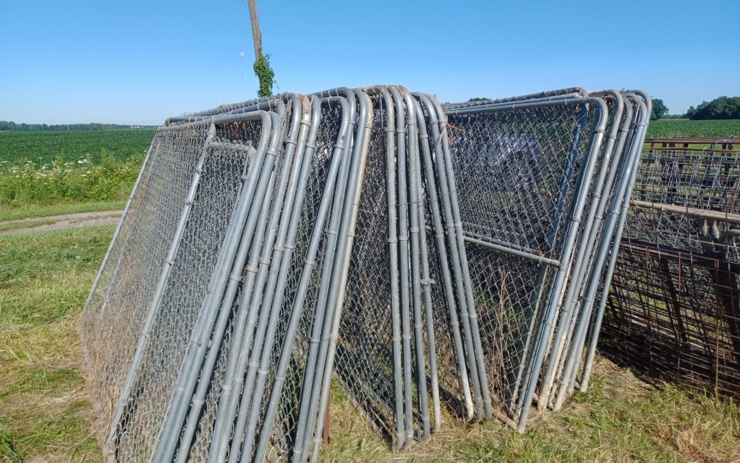 Dog Kennel Gates