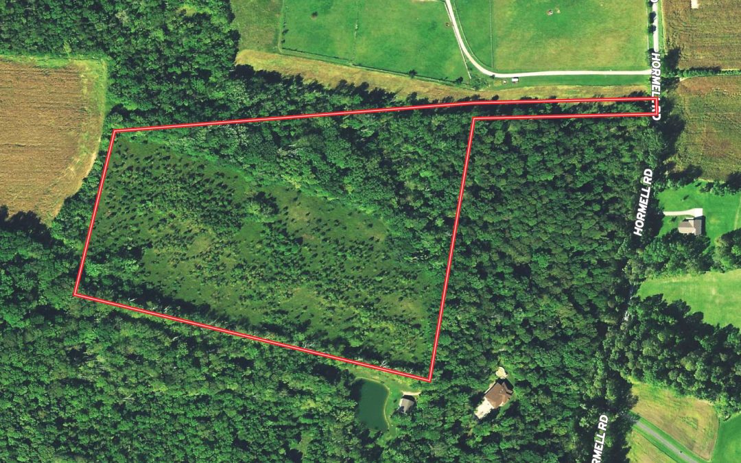 19 ACRES HORMELL ROAD, CLINTON COUNTY