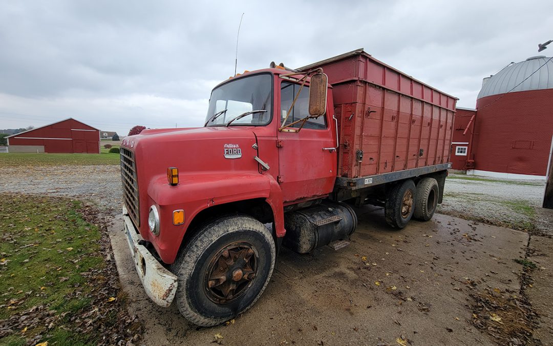 1979 Ford 800 Grain Truck