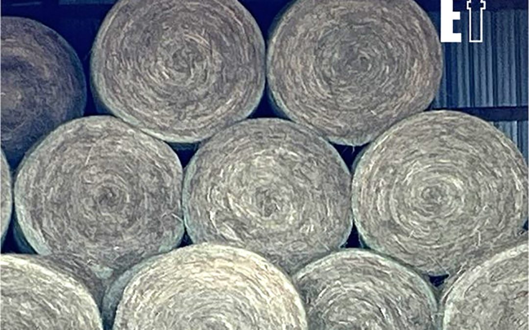 (14) 4×5 Rolls of Grass Hay