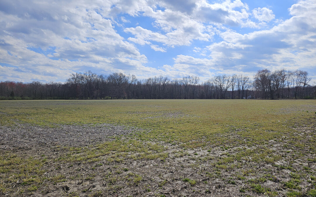 AUCTION: 38 ACRES WITH 2 HOMES – CLERMONT COUNTY