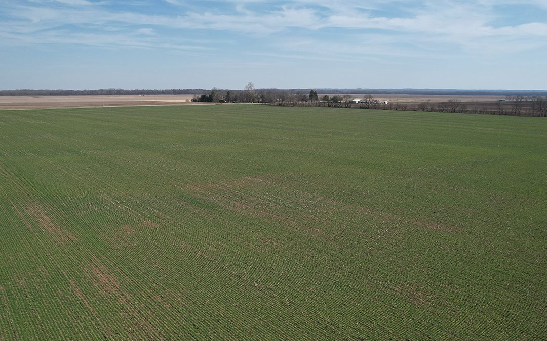 155.142 Acres Prime Farmland, Pickaway County, OH