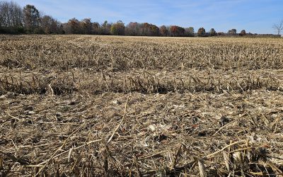 20 ACRES FARM & RECREATIONAL LAND WITH BARN