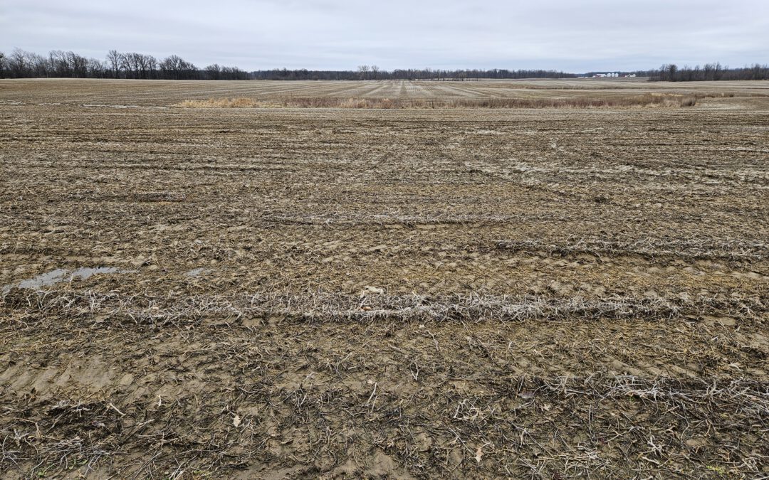 61 Acres Seneca County – 100% Tillable Land