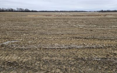 61 Acres Seneca County – 100% Tillable Land