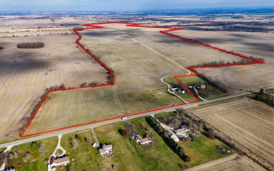 High Percent Tillable Land for Sale in Pickaway County, Ohio – 394 Acres