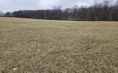 28.6 ACRES OPEN LAND & WOODS, HILLSBORO, OH