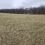28.6 ACRES OPEN LAND & WOODS, HILLSBORO, OH