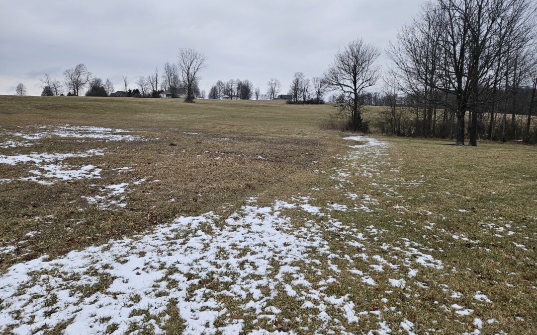 6.8 ACRES OPEN LAND HILLSBORO, OH