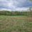 2.82 ACRE HIGHLAND COUNTY LOT