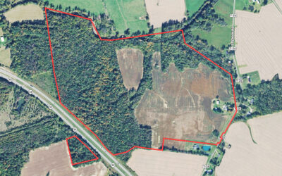 148.047 Acre Farm For Sale Near Sardinia, Ohio – Farmhouse, Barn, Tillable & Wooded Acres (89)