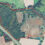 148.047 Acre Farm For Sale Near Sardinia, Ohio – Farmhouse, Barn, Tillable & Wooded Acres (89)