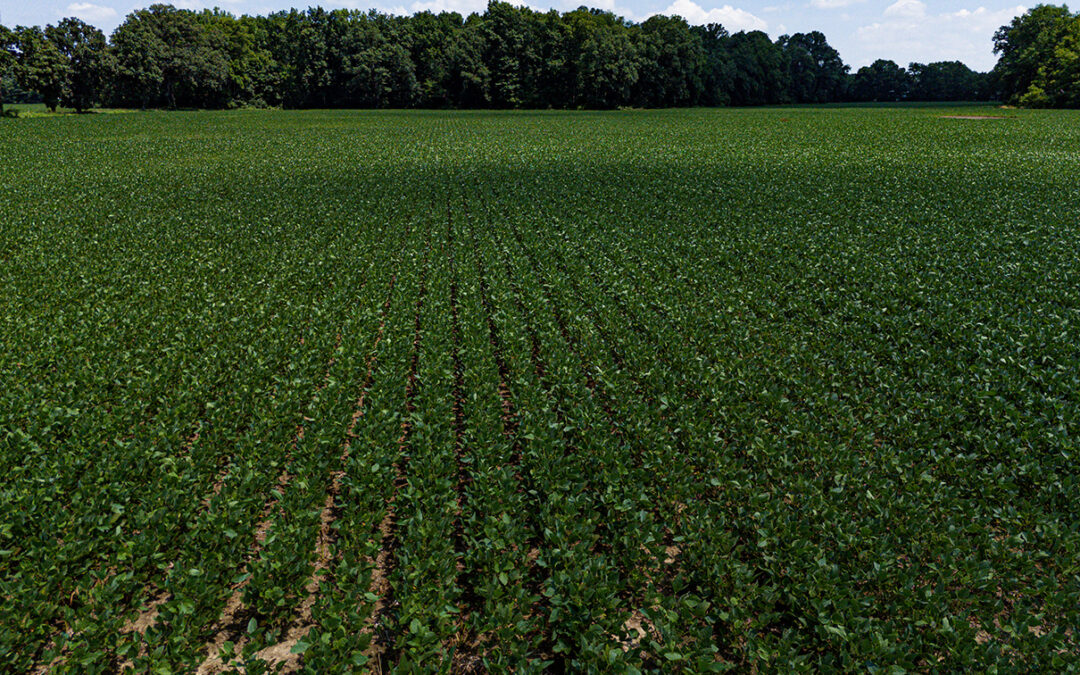 62.678+/- Acre Franklin County Ohio Land Auction